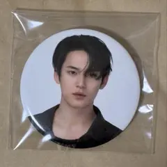SEVENTEEN セブチ MINGYU ミンギュ Follow缶バッジ