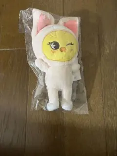 2026年最新】straykids バッグ ポガリの人気アイテム - メルカリ