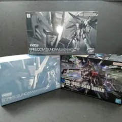 未組立 RG ストライク フリーダム ディアクティブ HG レジェンド セット