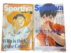 ハイキュー　ショーセツバン　影山飛雄