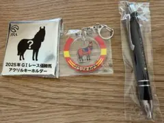 JRA ベラジオオペラ アクリルキーホルダー ビギナーズセミナー ペン