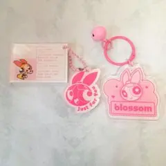 ① パワーパフガールズ アクリルキーホルダー ブロッサム セット カートゥーン