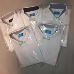 Item thumbnail for item d741dc6f-ba69-422c-a902-72b4c99b559e