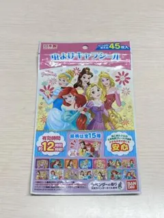 新品未使用 日本製 ディズニープリンセス 虫よけキャラシール 45枚入