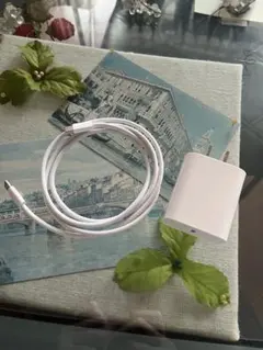 【Apple純正品ケーブル】充電器＆ケーブルセット