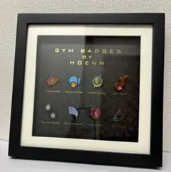 2025年最新】ジムバッジ コンプリートセットの人気アイテム