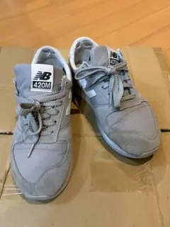 Item thumbnail for item 91862c6b-7b6a-4d87-b010-24ec5dae974d