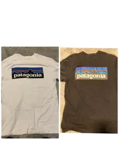 パタゴニア Tシャツ 2枚セット