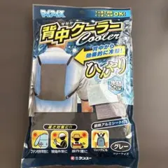 Item thumbnail for item 6f42f9f5-01ff-4cde-9208-b9370d5f6b4c