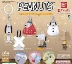 PEANUTS めじるしアクセサリー FUNNY ver. 5種セミコンプセット