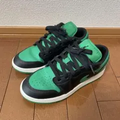 ジョーダン1 23.5