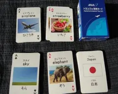 Item thumbnail for item 676d7256-ce96-4550-b156-a7930502ede2