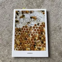 Item thumbnail for item 4a6cb4de-b657-49db-8990-6d8096df5bb0