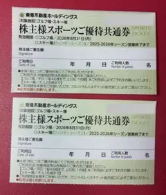 東急不動産　株主優待券　スキー場リフト割引等2枚セット