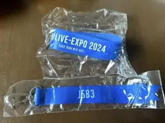 【新品未開封】LDH LIVE EXPO JSB3 ボンフィン シリコンブレス