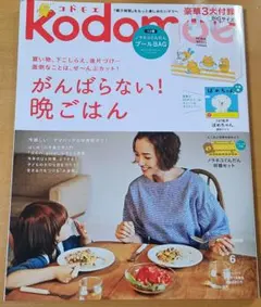 kodomoe 2018年6月号 コドモエ 雑誌 とじこみ付録のみ収録