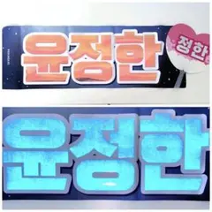 SEVENTEEN ジョンハン スローガン うちわ セット