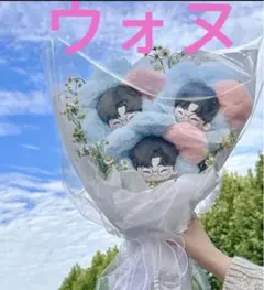 SEVENTEEN セブチ ぬいぐるみ ウォヌ