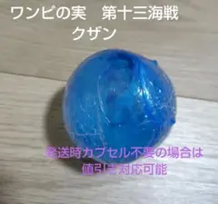 ワンピの実　第十三海戦　クザン