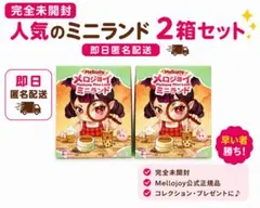 2026年最新】メロジョイミニランドの人気アイテム - メルカリ