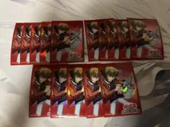 遊城十代スリーブ 15枚セット