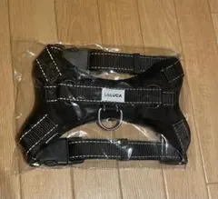 Item thumbnail for item 0957a27d-1abe-4e21-8854-35064117b463