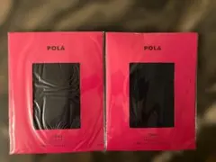 POLA (シアーベールタイツ2足セット)のサムネイル