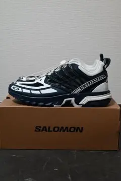 Salomon ACS PRO JAPAN 29cm 日本限定カラー