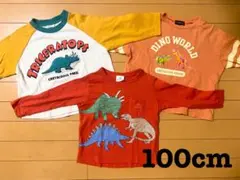 恐竜プリント 長袖カットソー 100cm 3枚セット