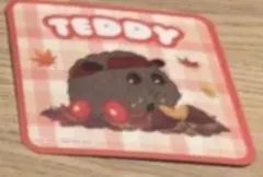 PUIPUIモルカー テディノベルティ コースター カフェ　ソフマップ