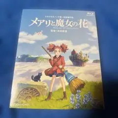 メアリと魔女の花('17「メアリと魔女の花」製作委員会)