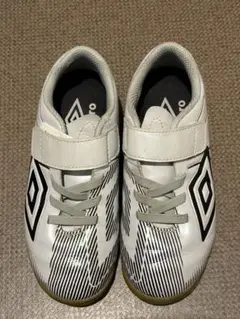 Item thumbnail for item 6f60f715-8550-4ff5-925d-90e002f51c20