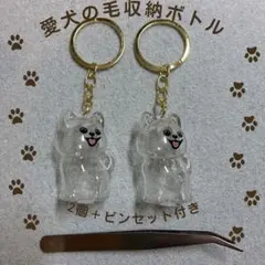 犬の毛収納 ポメラニアン　チワワ　メモリアル　収納ボトル　2個　ピンセット付き