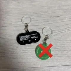 フレデリック ミュージシャン