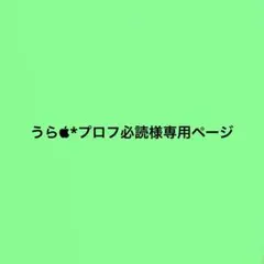 2026年最新】プロフ必読の人気アイテム - メルカリ