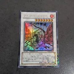 ブラック・ローズ・ドラゴン