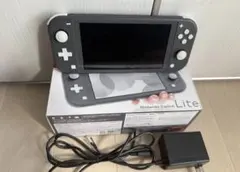 Nintendo Switch Lite グレー 本体 ( unlocked)
