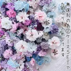かすみ草ドライフラワー無選別