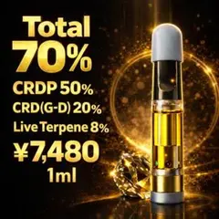 高濃度H4CBD×CRDP×CRDB×超技巧派テルペン プレミアムリキッド1ml 