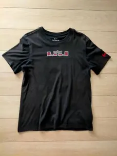 THE NIKE TEE ナイキ Tシャツ ドライフィット M