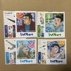 ハイキュー フォトカード&ステッカー 烏野3年 影山