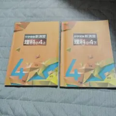 Item thumbnail for item 8dfb7bf1-0334-49bc-b068-24d44a6b5ff5