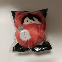 妖怪学校の先生はじめました！ 妖はじ 晴明 くるみたぴぬい