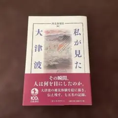 私が見た大津波