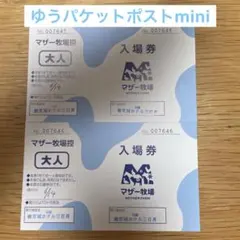 マザー牧場 入場券 大人 2枚セット