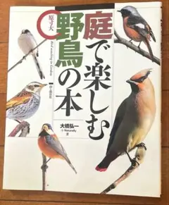 貴重昭和53★野鳥観察図鑑/大自然へのパスポート★ 朝日ソノラマ/高野伸二★当時 貴重昭和53☆野鳥観察図鑑/大自然へのパスポート☆ 朝日ソノラマ
