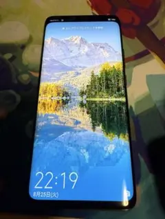 ジャンク】HUAWEI Mate 20 X EVR-L29 グローバル版 - メルカリ