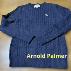 アーノルドパーマー　セーター　レディース　ネイビー　 Lサイズ　数回着