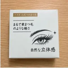 マグネット式つけまつ毛 エクステ つけま メイク 時短