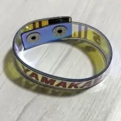山川穂高選手 オーロラブレスバンド